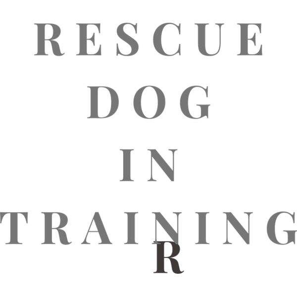 Rescue Dog In Training  Thumbnail