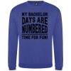 Pro sweatshirt Thumbnail